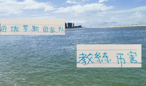 申花连续2个赛季领跑  跑 证明前俄罗斯国家队主指导教练员还是有点墨水