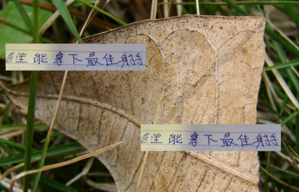 在没有海港武磊时候 中超四大外援 谁能拿下最佳射手