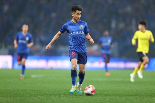 沪媒：路易斯、米内罗开始复健    ，戴伟浚、谢鹏飞加入申花合练